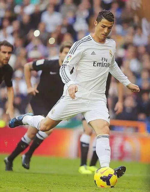 需要泰山队 需要泰山队